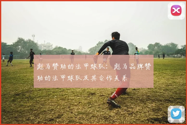 彪马赞助的法甲球队:彪马品牌赞助的法甲球队及其合作关系
