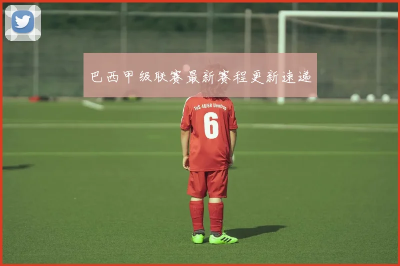 巴西甲级联赛最新赛程更新速递