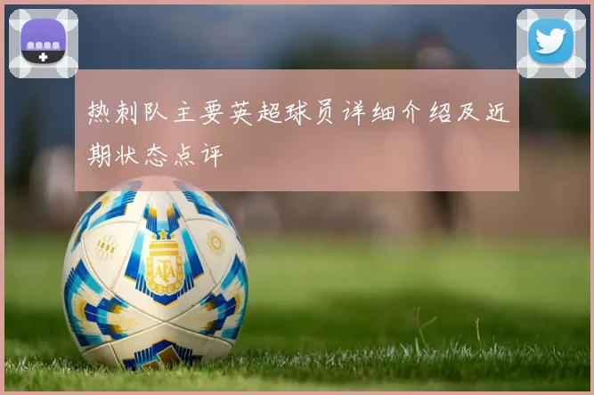 热刺队主要英超球员详细介绍及近期状态点评