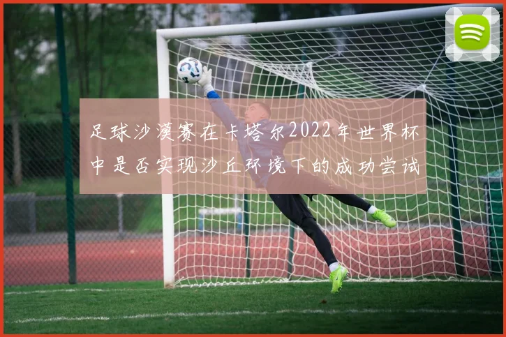 足球沙漠赛在卡塔尔2022年世界杯中是否实现沙丘环境下的成功尝试