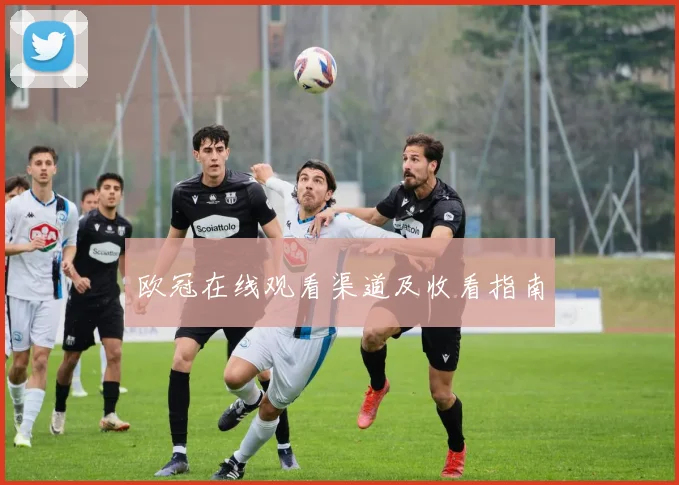 欧冠在线观看渠道及收看指南